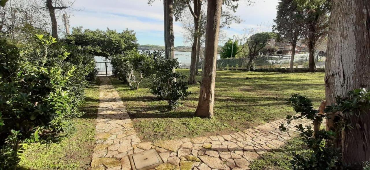 I Fiori Nel Golfo Di * Baratti