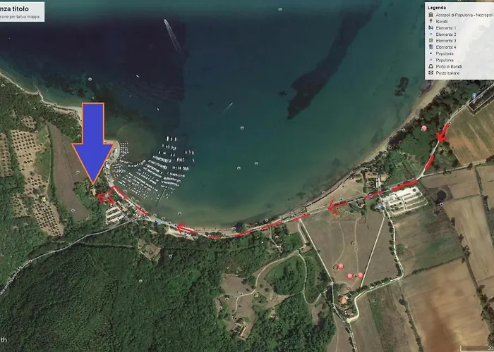 I Fiori Nel Golfo Di Baratti